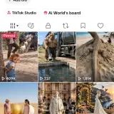 TikTok entertainment account profile @animalfacts403